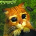/album/xixi-obrazky/obrazky-4ever-sk-shrek-2-8059112-jpg/